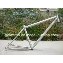 Hot Sale Good Flexibillity Titanium Bicycle Frame for Gr9